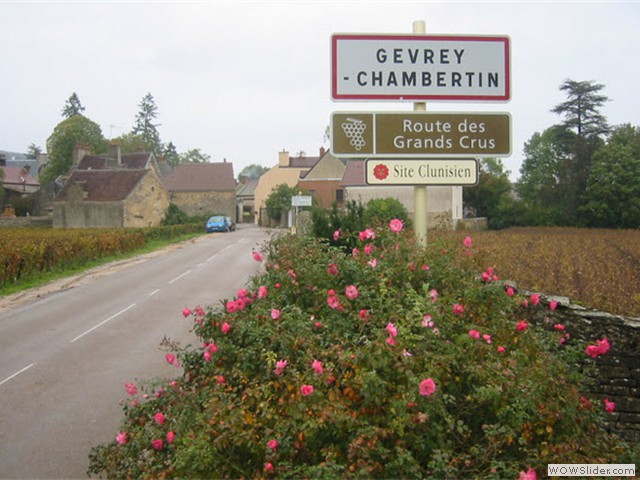 Gevrey-chambertin